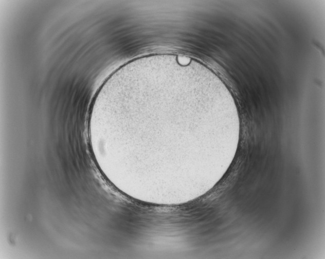 X0000102390904200808291420