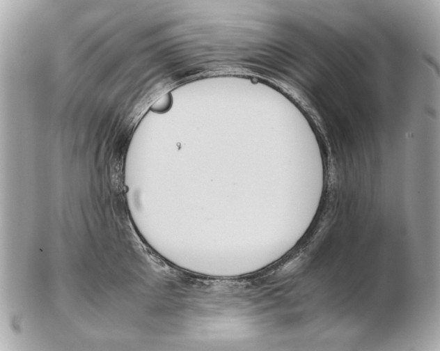X0000102390905200808291420
