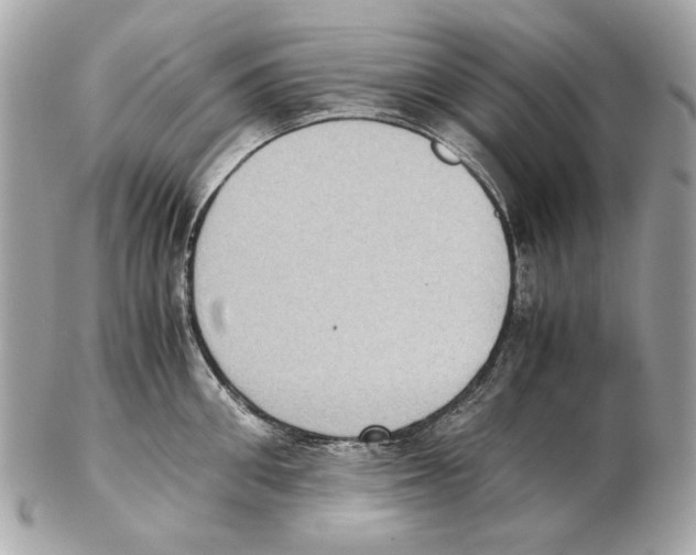 X0000102390906200808291420