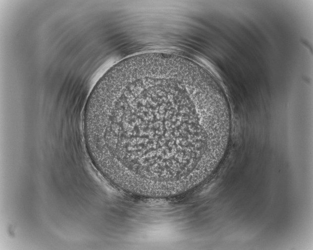 X0000102390907200808291420