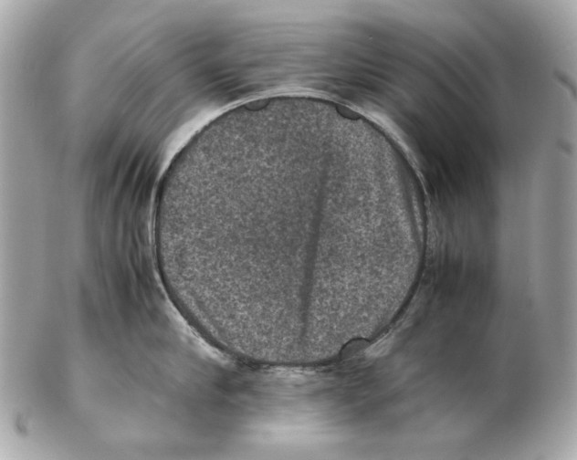 X0000102390910200808291420