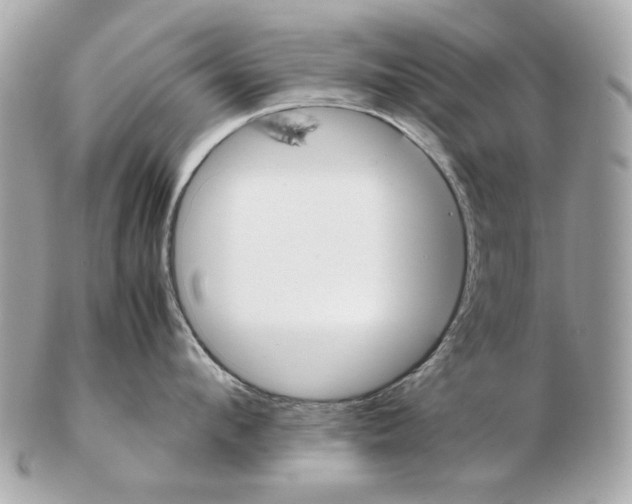 X0000102390912200808291420