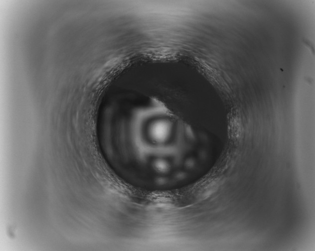 X0000102390913200808291420