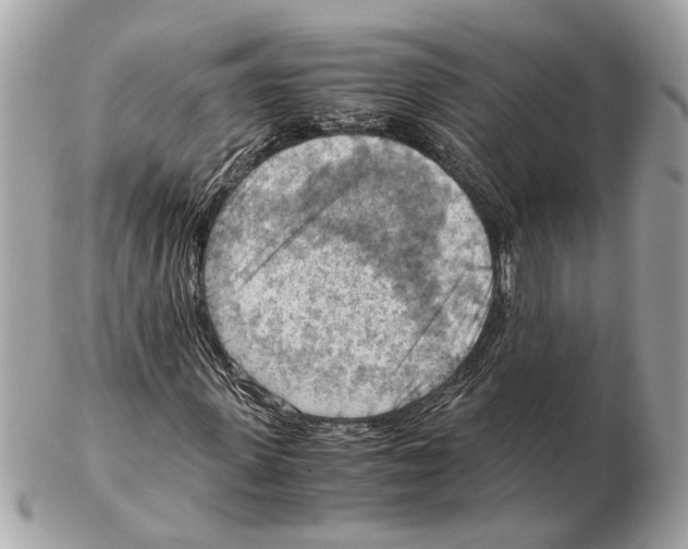 X0000102390915200808291420