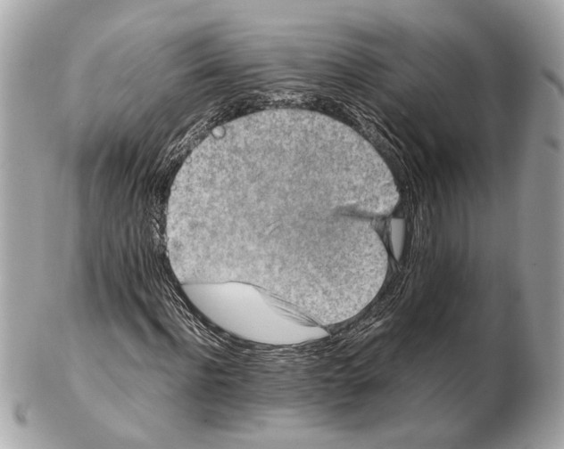 X0000102390916200808291420