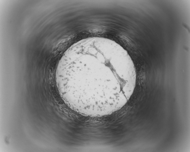 X0000102390917200808291420