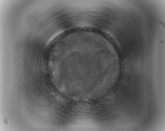 X0000102390919200808291420