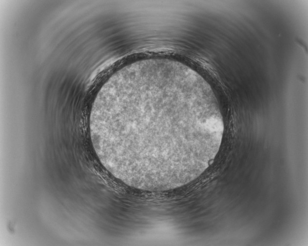 X0000102390920200808291420