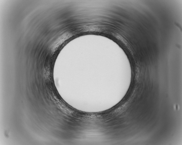X0000102390922200808291420