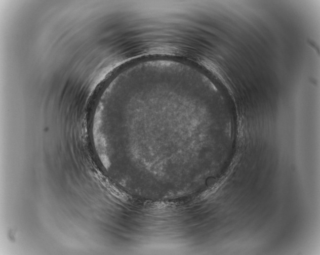 X0000102390923200808291420