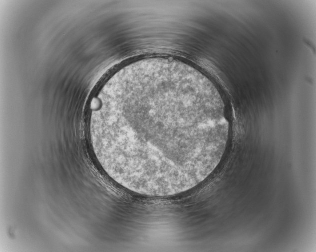 X0000102390924200808291420