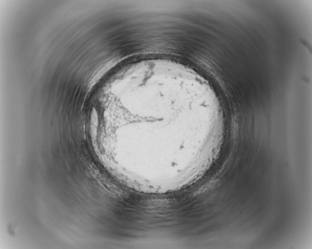 X0000102390925200808291420