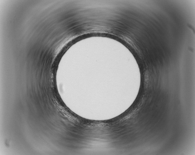X0000102390926200808291420