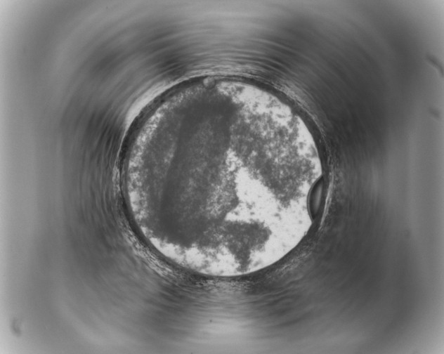 X0000102390928200808291420