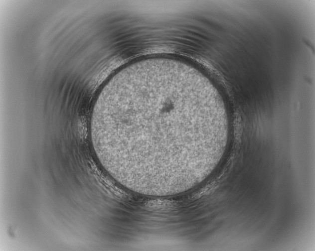 X0000102390929200808291420