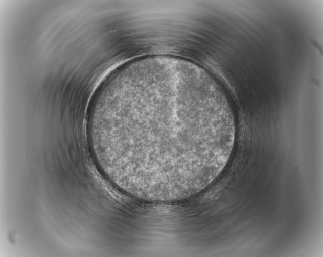 X0000102390932200808291420
