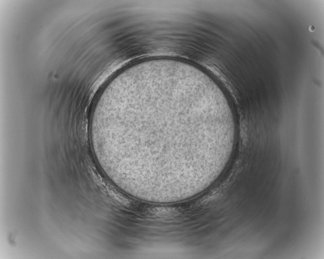X0000102390933200808291420