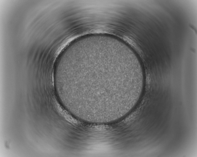 X0000102390934200808291420