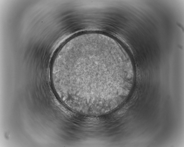 X0000102390935200808291420