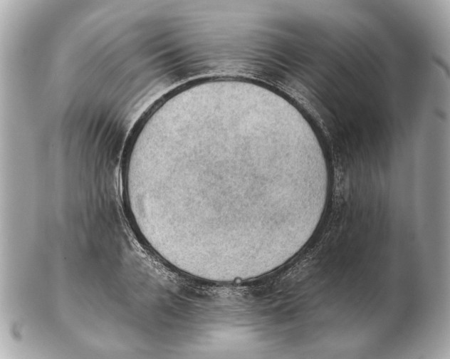 X0000102390936200808291420