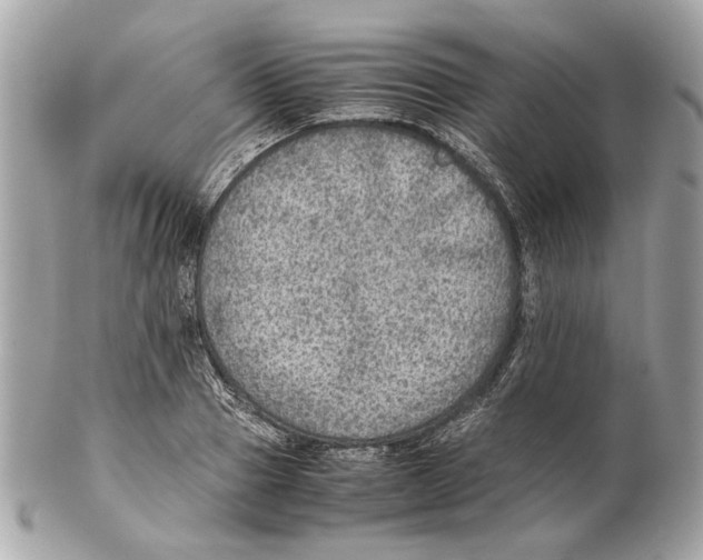 X0000102390937200808291420