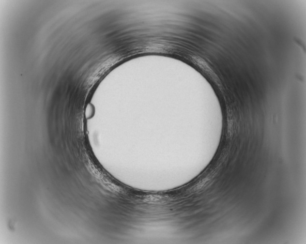 X0000102390938200808291420
