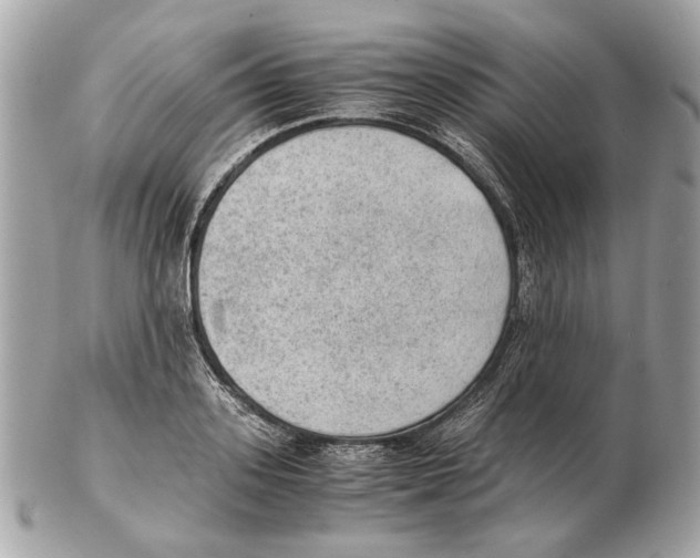 X0000102390939200808291420