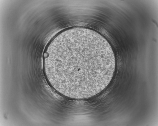 X0000102390940200808291420
