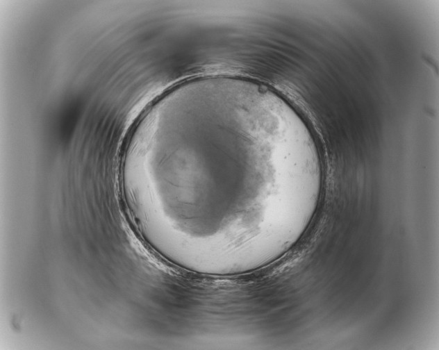 X0000102390941200808291420