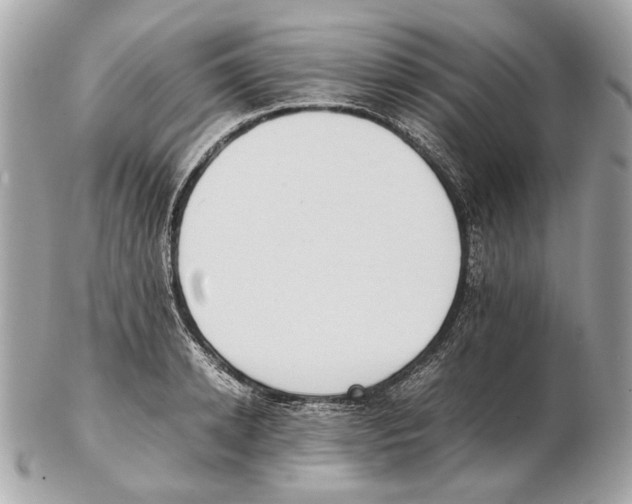 X0000102390942200808291420