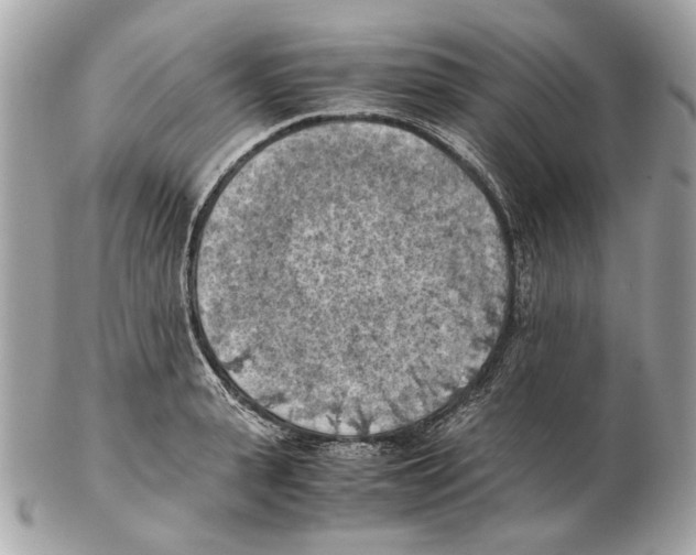 X0000102390943200808291420