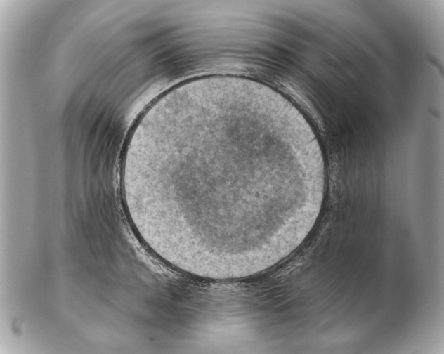 X0000102390944200808291420