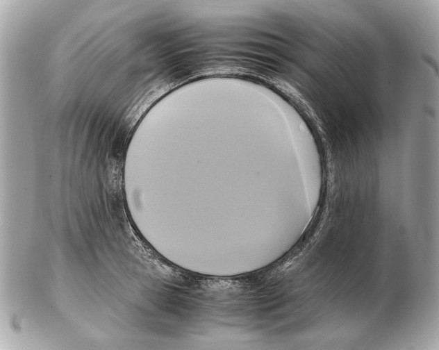 X0000102390945200808291420