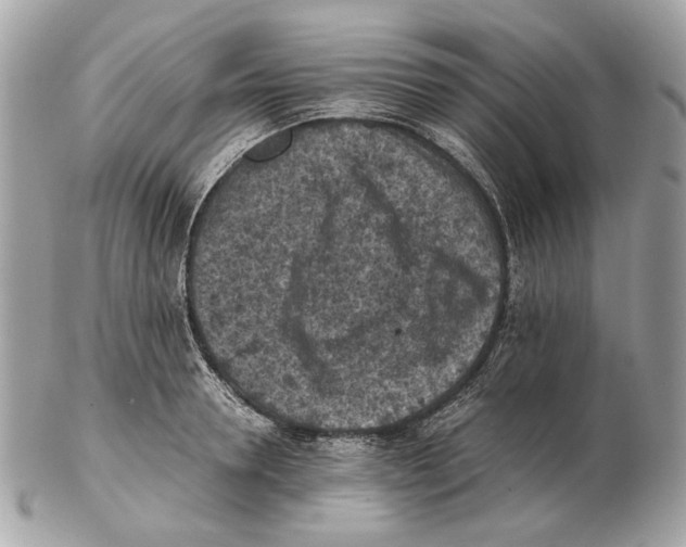 X0000102390946200808291420