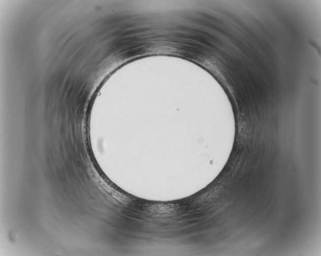X0000102390947200808291420