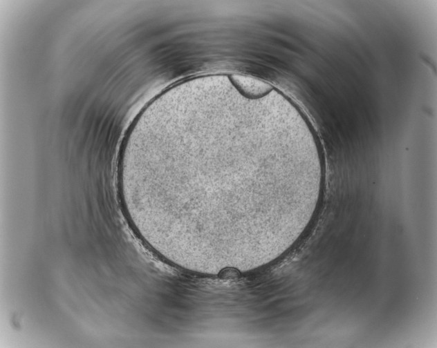 X0000102390949200808291420