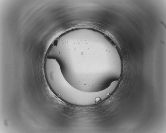 X0000102390950200808291420