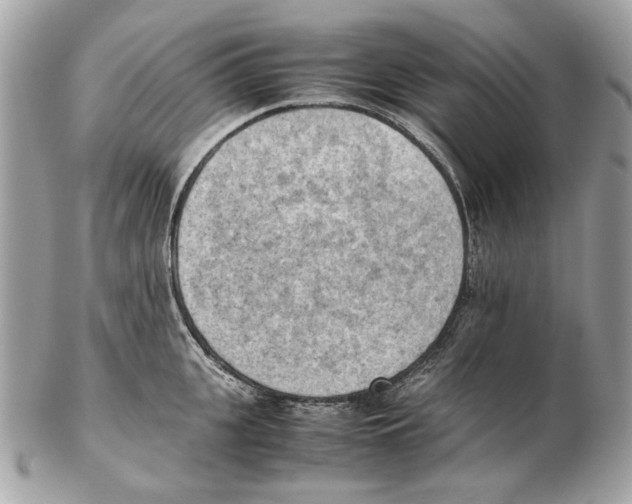 X0000102390951200808291420