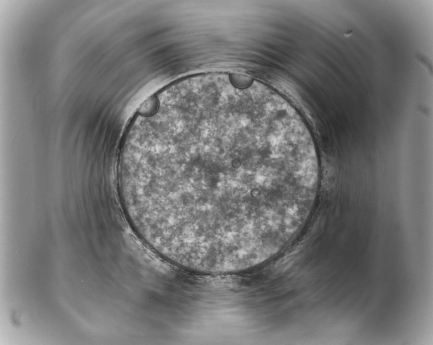 X0000102390952200808291420