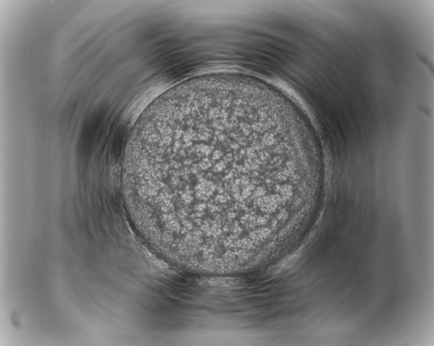 X0000102390953200808291420