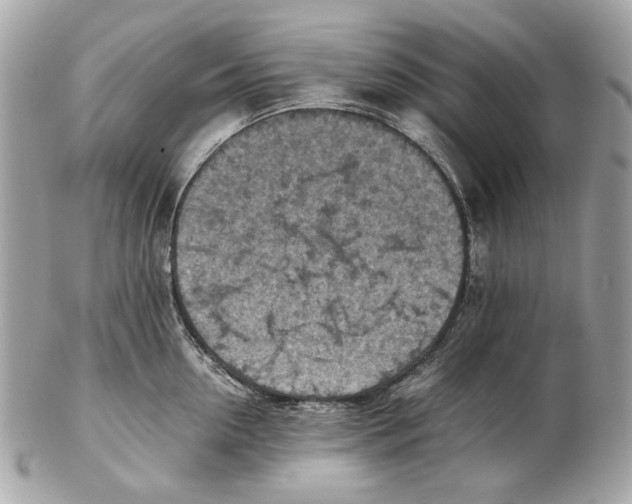 X0000102390954200808291420