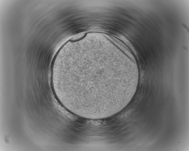 X0000102390955200808291420