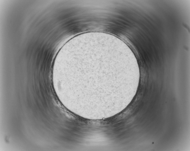 X0000102390956200808291420