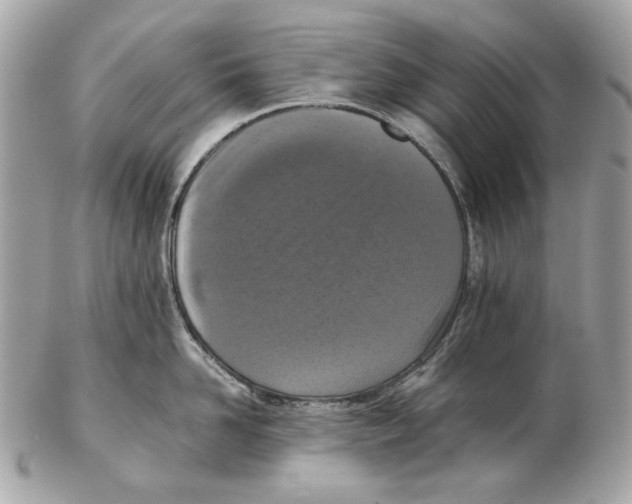 X0000102390958200808291420