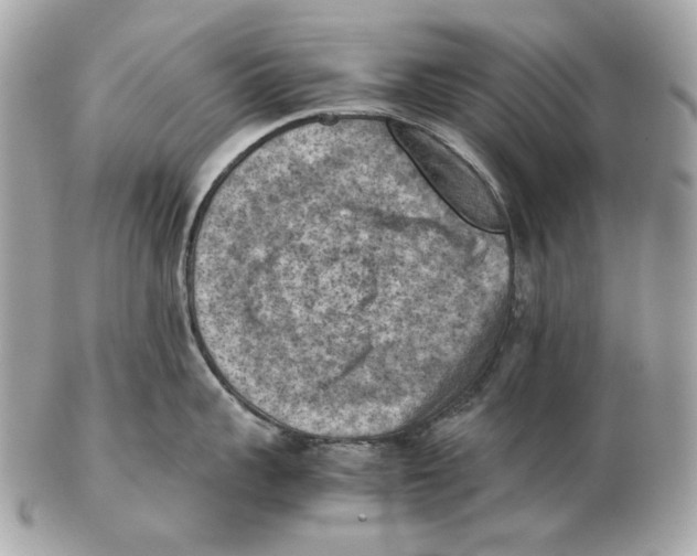 X0000102390959200808291420