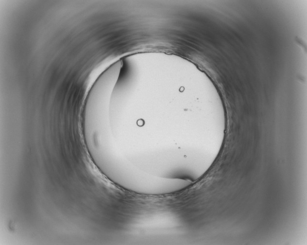 X0000102390960200808291420
