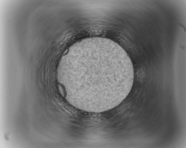 X0000102390961200808291420