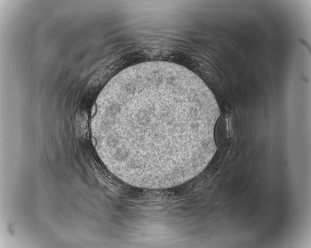 X0000102390963200808291420