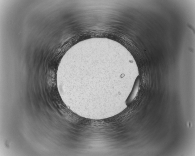 X0000102390964200808291420