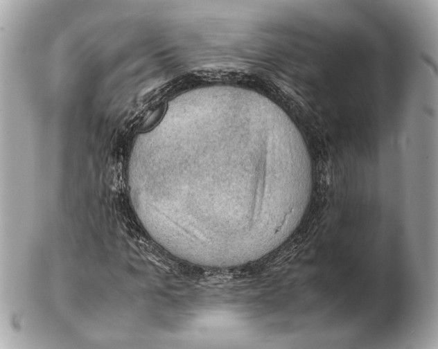 X0000102390965200808291420